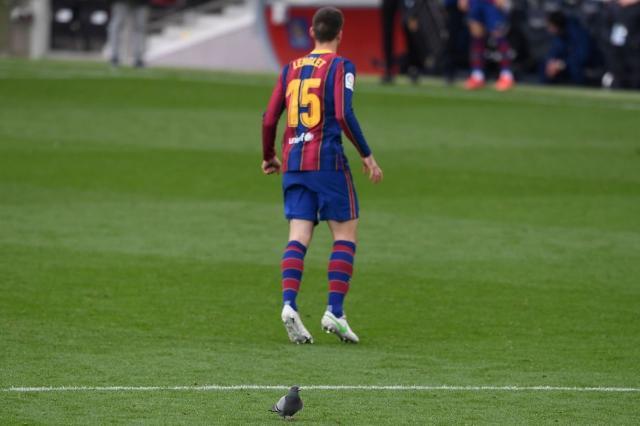 1613928729668074708.jpg 1613928729668074708.jpg